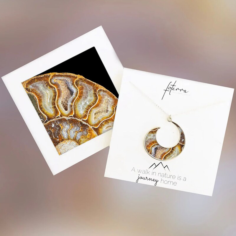 Nautilus Shell Necklace - Wave shape - new world pendant - Fossil Close Up - Custom Keepsake Jewelry - Foterra Jewelry